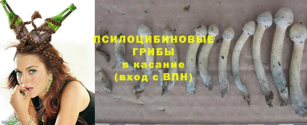 сатива Аркадак