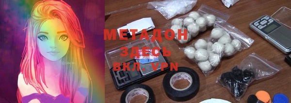 прущие грибы Армянск