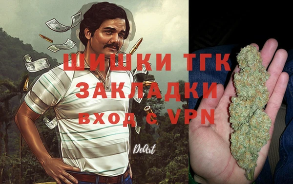 сатива Аркадак