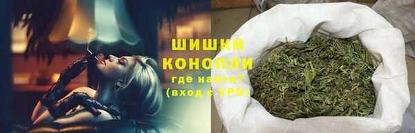 прущие грибы Армянск