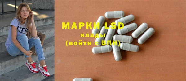 прущие грибы Армянск