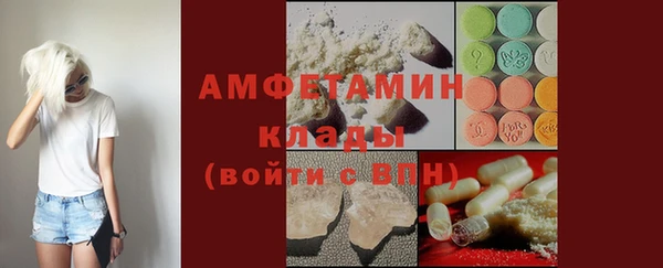 сатива Аркадак