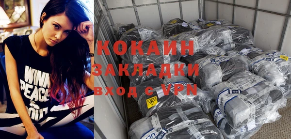 прущие грибы Армянск