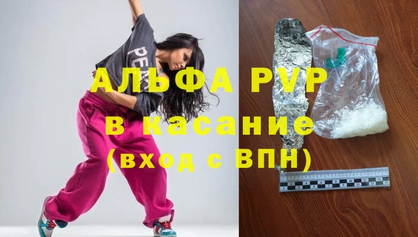 прущие грибы Армянск