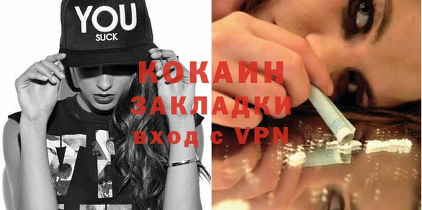 сатива Аркадак